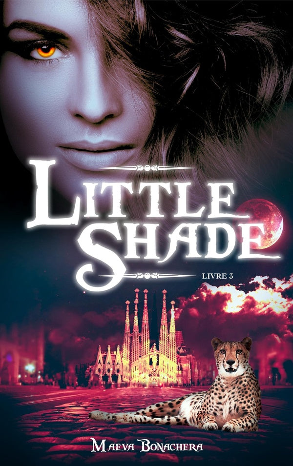 Front cover of Little shade Tome 3