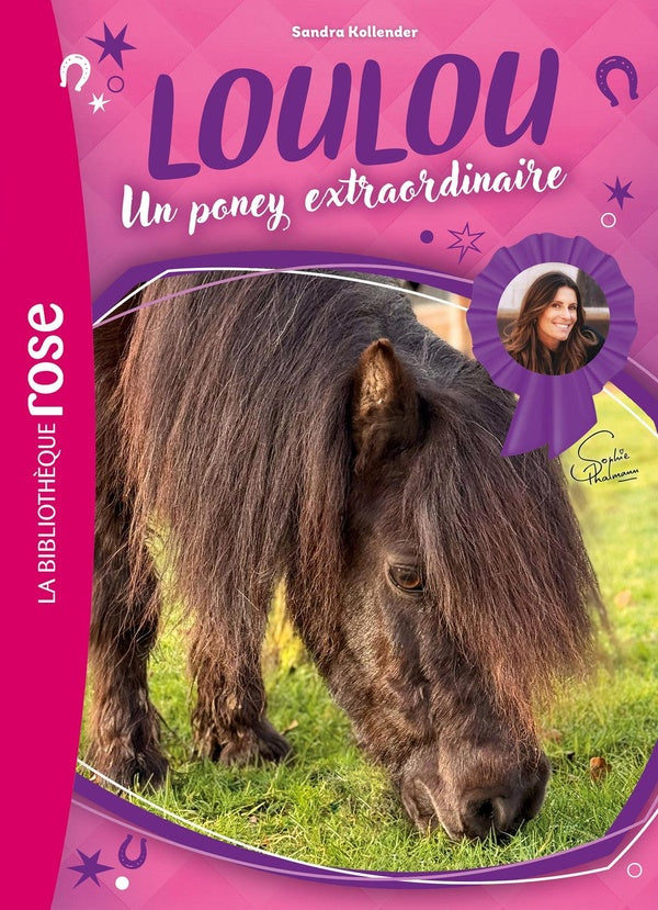 Front cover of Loulou, un poney extraordinaire