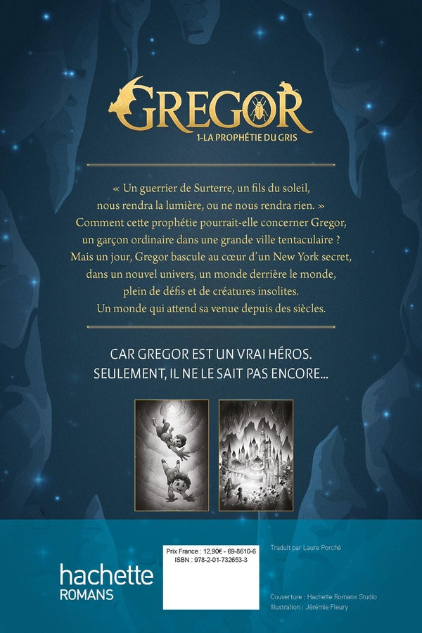 Back cover of Gregor Tome 1 : La Prophétie du Gris