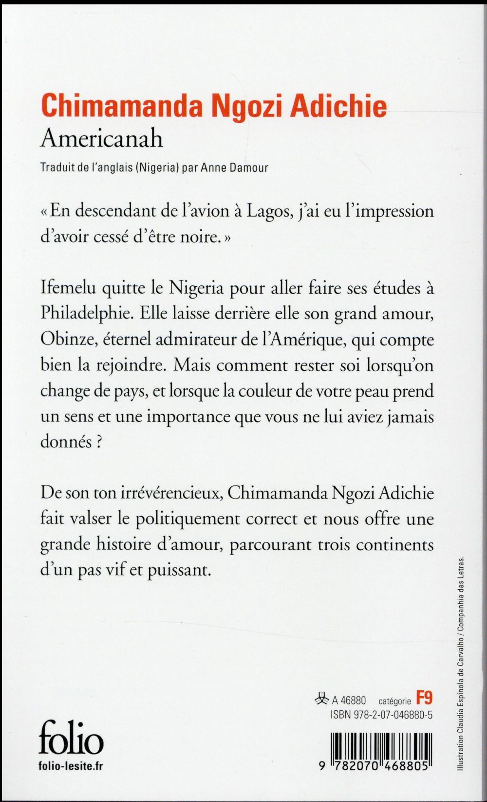 Back cover of Americanah