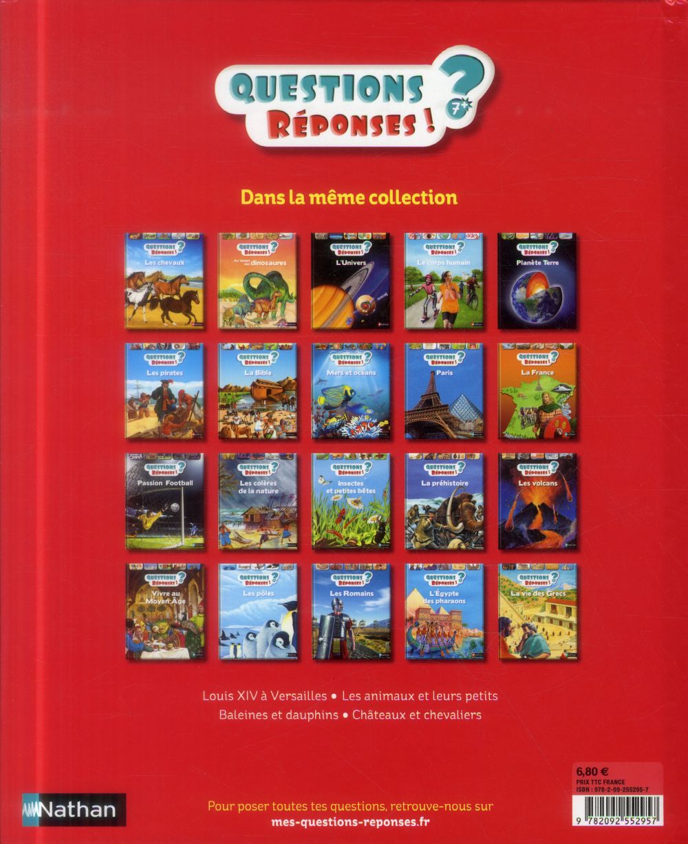 Back cover of Questions réponses 7+ : insectes et petites bêtes