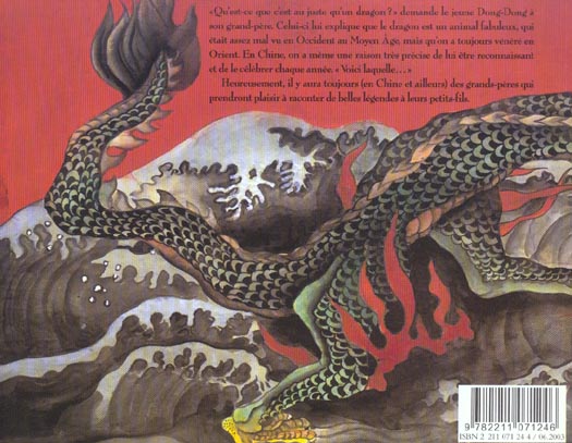 Back cover of Dragon de feu