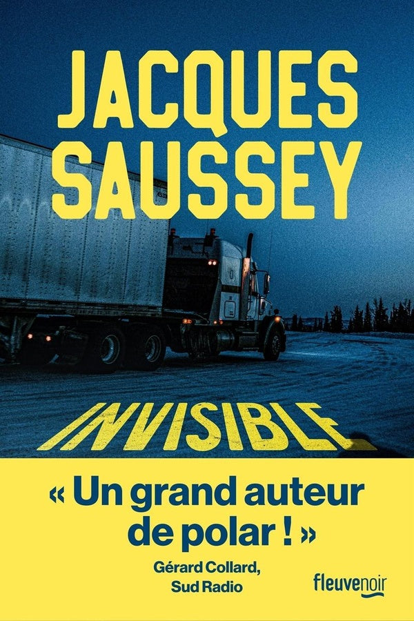 Front cover of Invisible