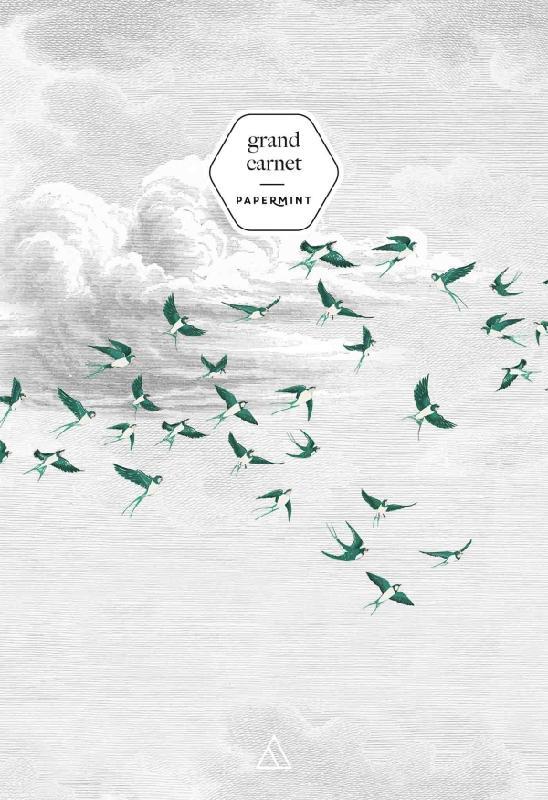 Front cover of Grand carnet ; papermint swallow cloud vert