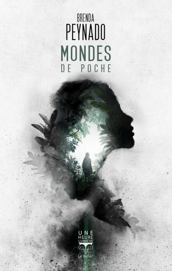 Front cover of Mondes de poche
