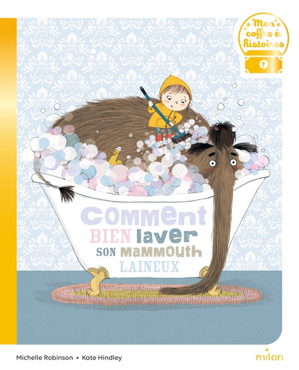 Front cover of Comment bien laver son mammouth laineux