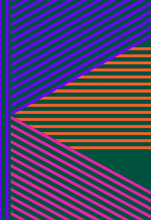 Front cover of Carnet souple ligné ; Bibliothèques Sans Frontières (IMPRESSION A LA DEMANDEDesign coloré)