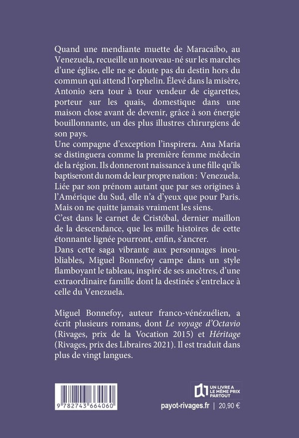 Back cover of Le rêve du jaguar