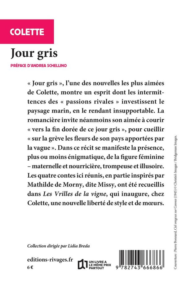 Back cover of Un jour gris