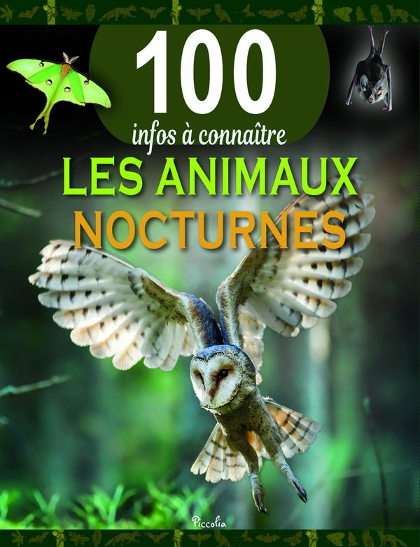 Front cover of 100 infos à connaître : Les animaux nocturnes