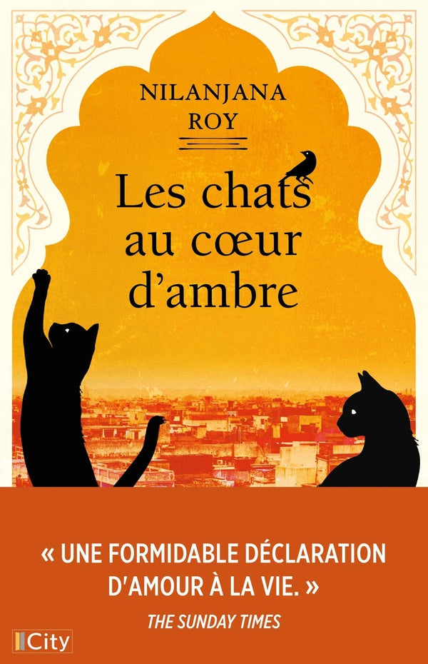 Front cover of Les chats au coeur d'ambre