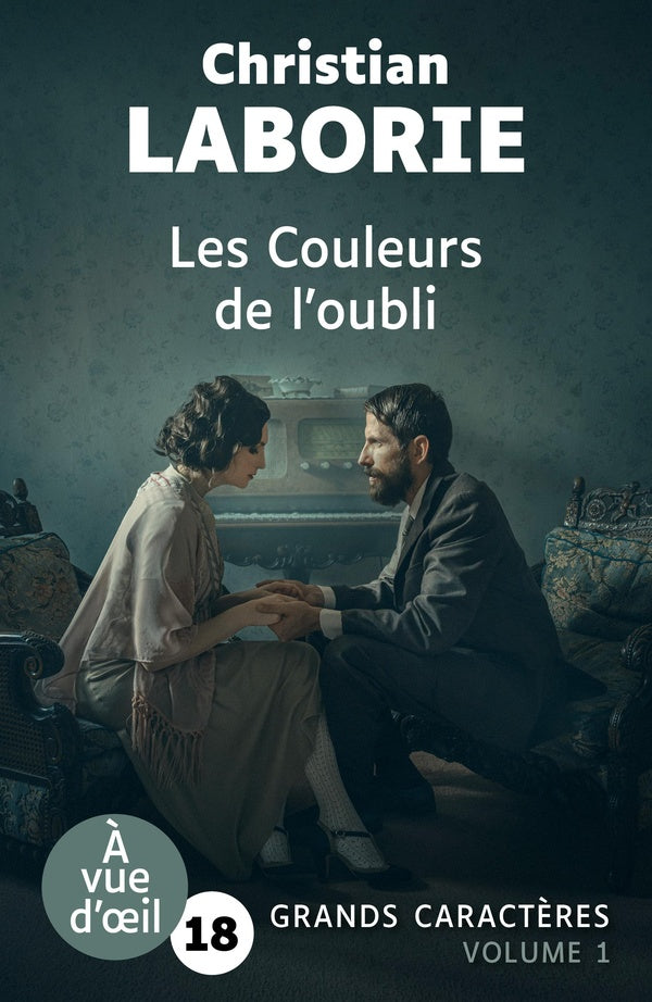 Front cover of Les Couleurs de l'oubli (Deux volumes)
