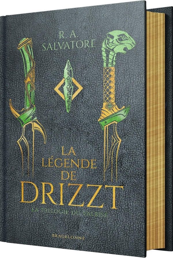 Front cover of Les Royaumes Oubliés - la légende de Drizzt : Intégrale Tomes 4 à 6 : La trilogie du Val Bise (Édition collector ; Traduction conjointe de Laurence Murphy et Fanélie Cointot)