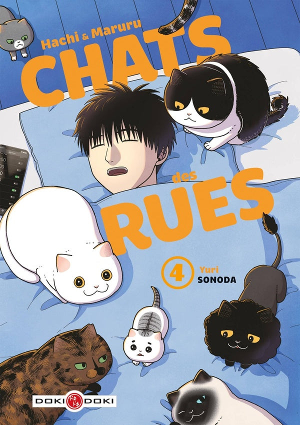 Front cover of Hachi & Maruru : chats des rues Tome 4