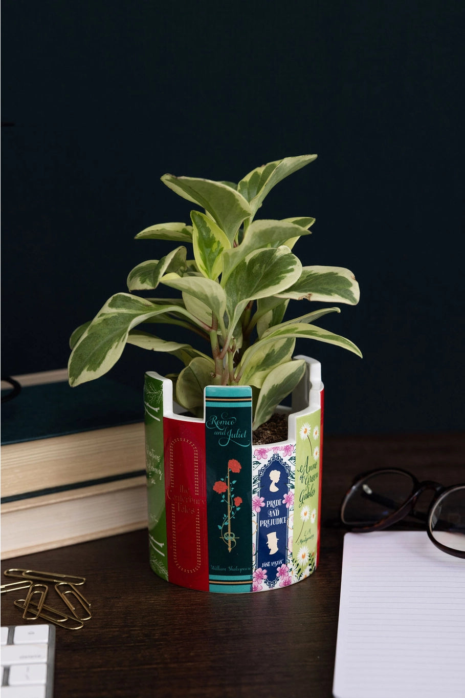 Cache pot Livres plante