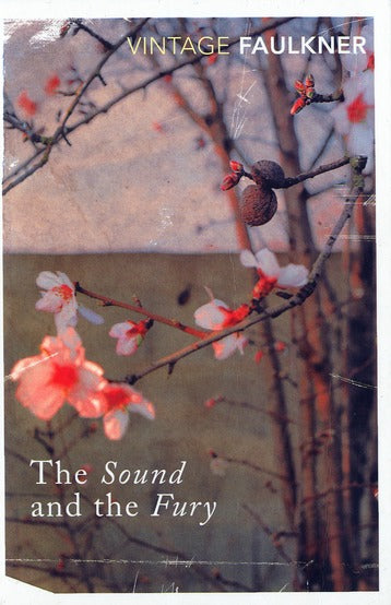 Front cover of The sound and the fury                     (édition en anglais)