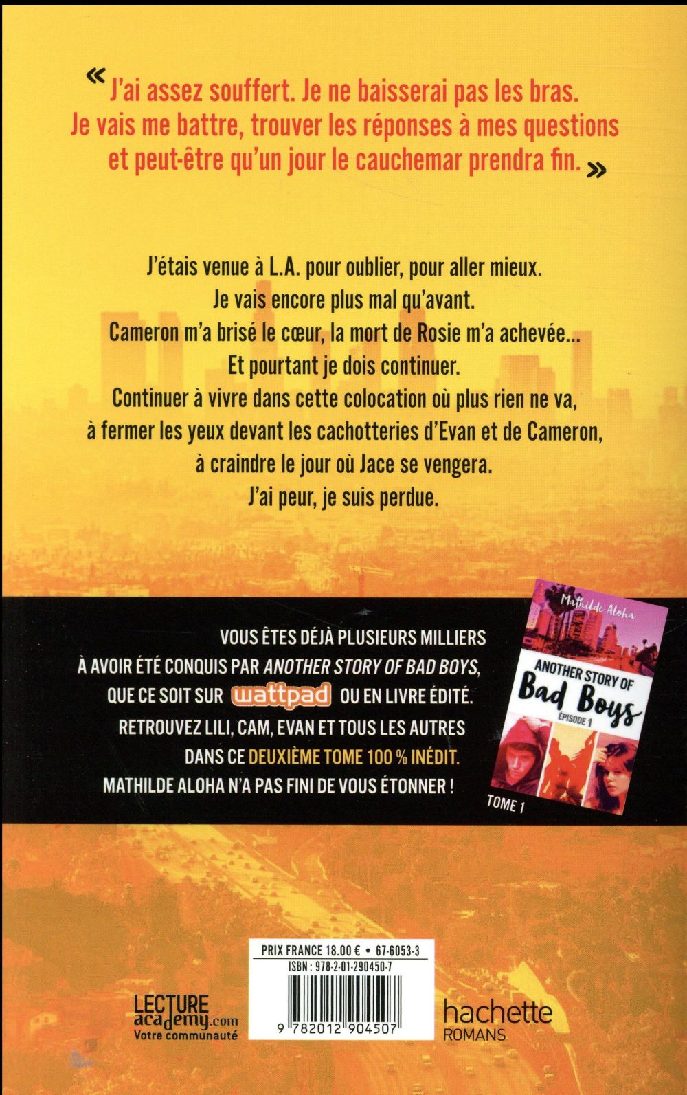 Back cover of Another story of Bad Boys Tome 2