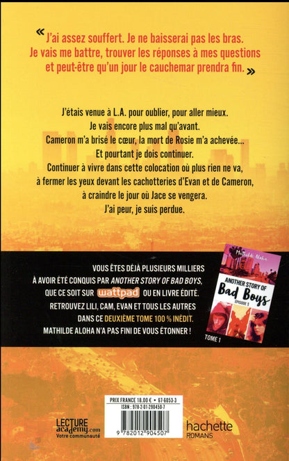 Back cover of Another story of Bad Boys Tome 2