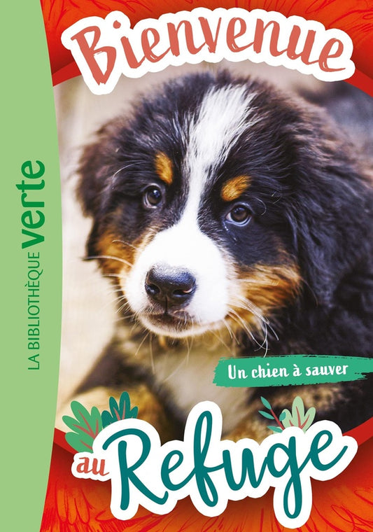 Front cover of Bienvenue au refuge Tome 2 : un chien à sauver