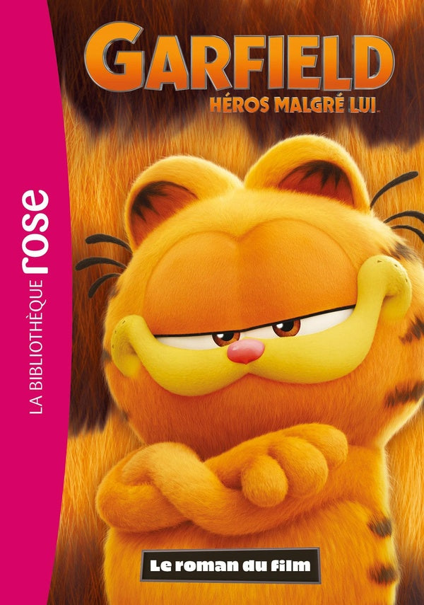 Front cover of Garfield, héros malgré lui : Le roman du film