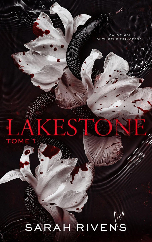 Front cover of Lakestone Tome 1                     (Réservé à un public averti)