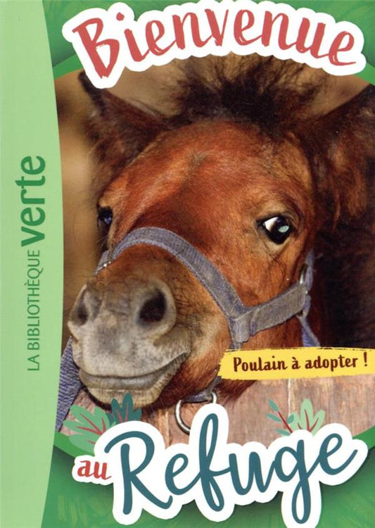 Front cover of Bienvenue au refuge Tome 3 : poulain à adopter !