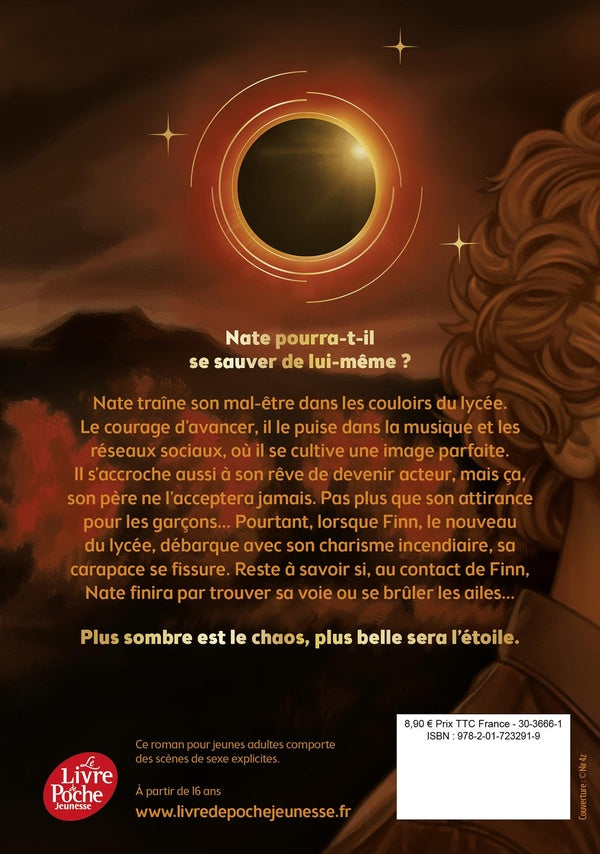 Back cover of La nuit où les étoiles se sont éteintes Tome 2 : Le jour où le soleil ne s'est plus levé                     (Réservé à un public averti)