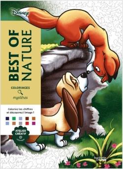 Front cover of Art-thérapie ; Coloriages mystères : Disney : Best of Nature
