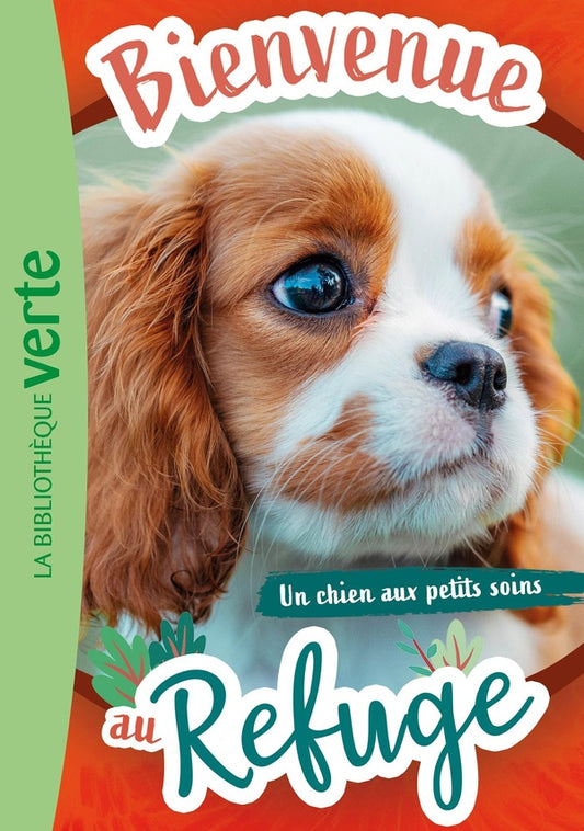 Front cover of Bienvenue au refuge Tome 13 : Un chien au petits soins