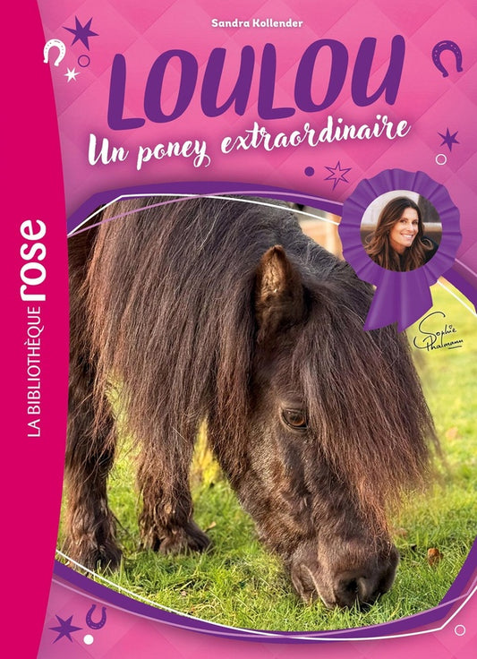 Front cover of Loulou, un poney extraordinaire