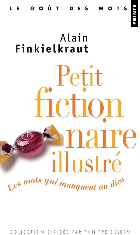 Front cover of Petit fictionnaire illustré ; les mots qui manquent au dico