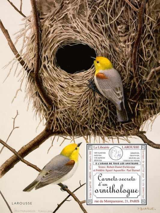 Front cover of Carnets secrets d'un ornithologue