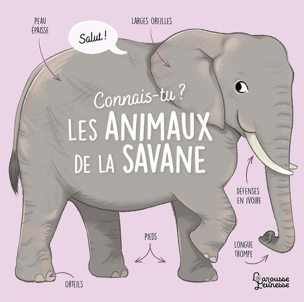 Front cover of Connais-tu ? Les animaux de la savane