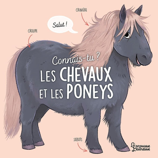 Front cover of Connais-tu ? Les chevaux et les poneys