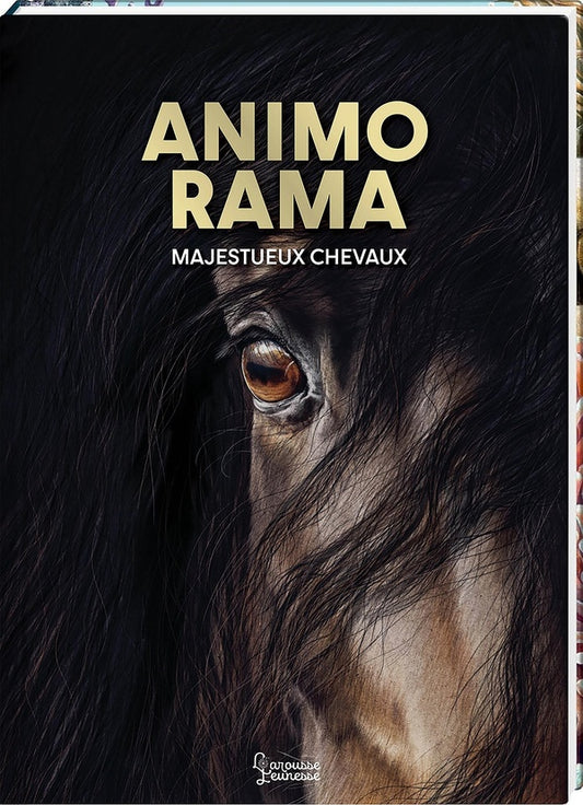 Front cover of Animo rama : Majestueux chevaux