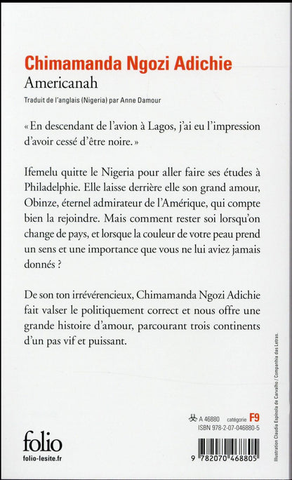 Back cover of Americanah