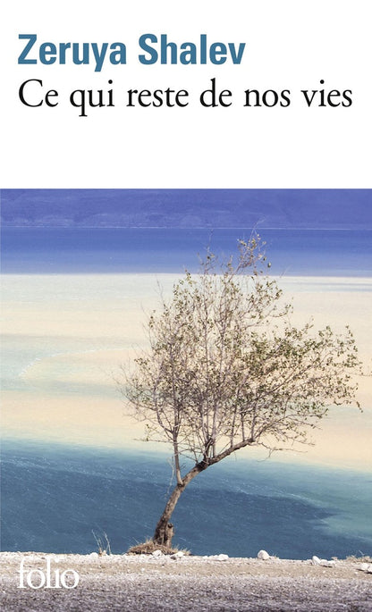 Front cover of Ce qui reste de nos vies
