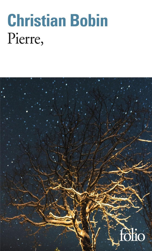 Front cover of Pierre