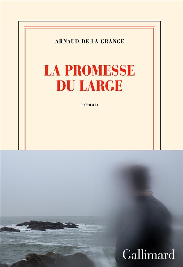 Front cover of La promesse du large