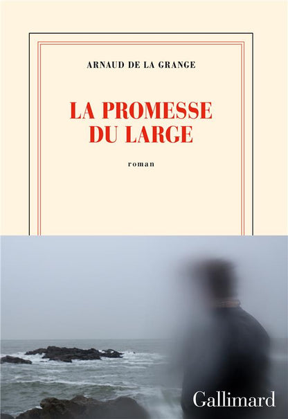 Front cover of La promesse du large