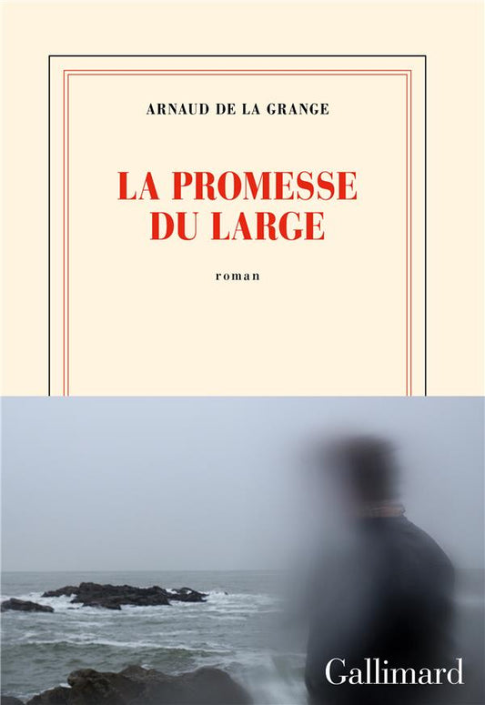 Front cover of La promesse du large