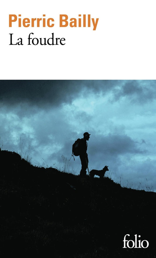 Front cover of La foudre