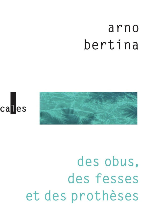 Front cover of Des obus, des fesses et des prothèses
