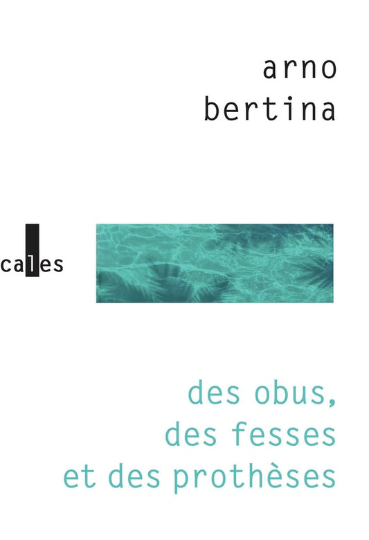 Front cover of Des obus, des fesses et des prothèses