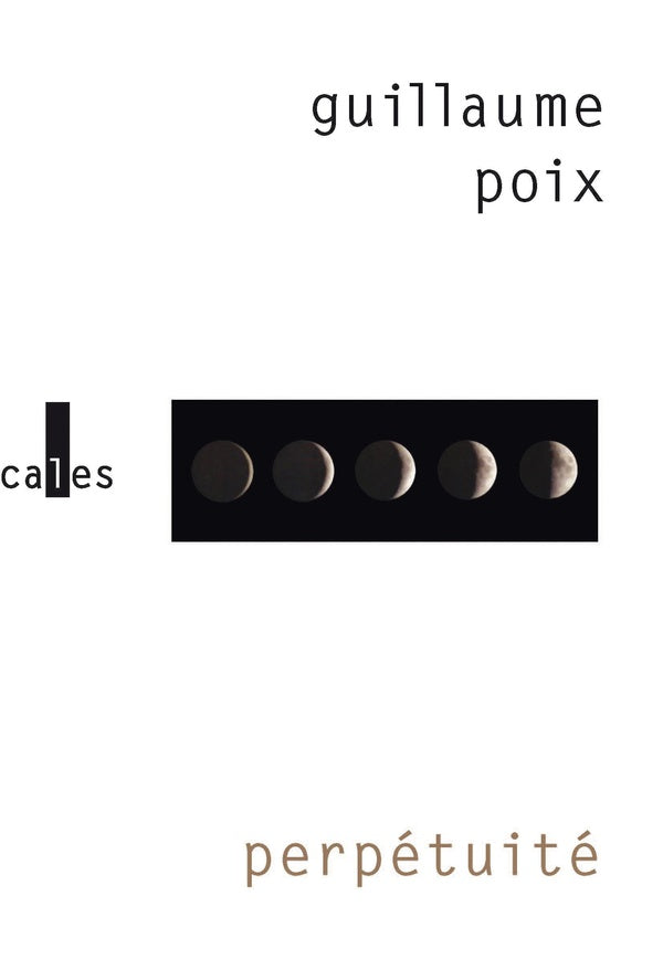 Front cover of Perpétuité