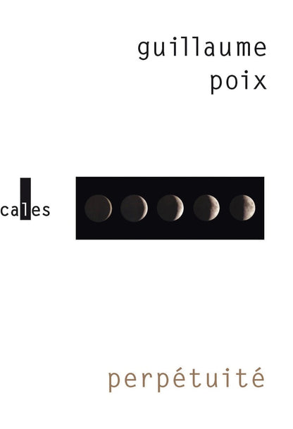 Front cover of Perpétuité