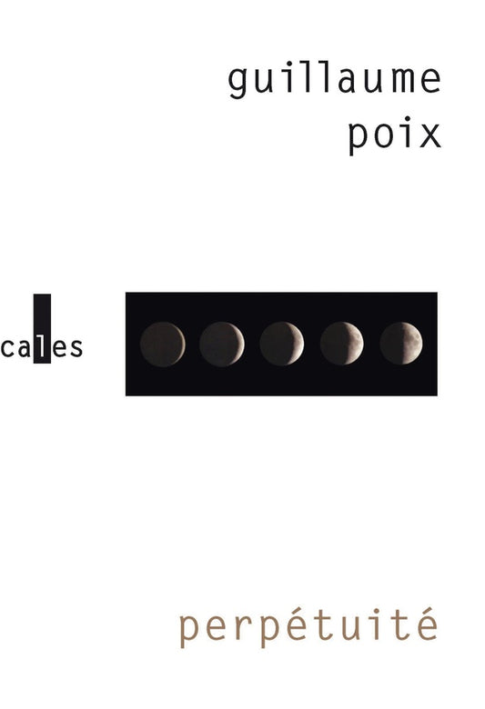 Front cover of Perpétuité