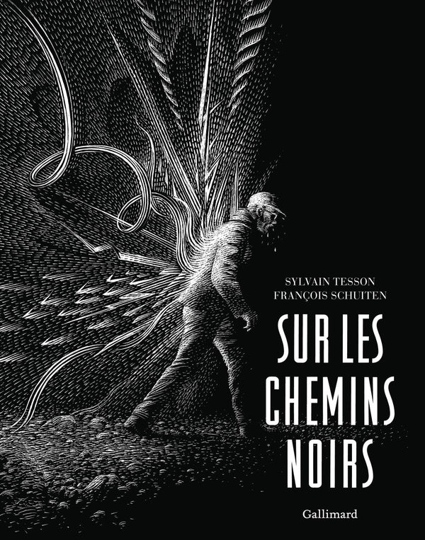 Front cover of Sur les chemins noirs