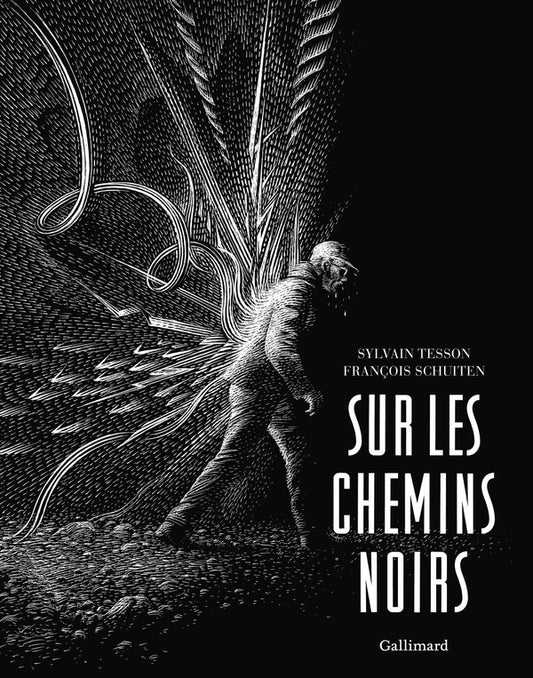 Front cover of Sur les chemins noirs