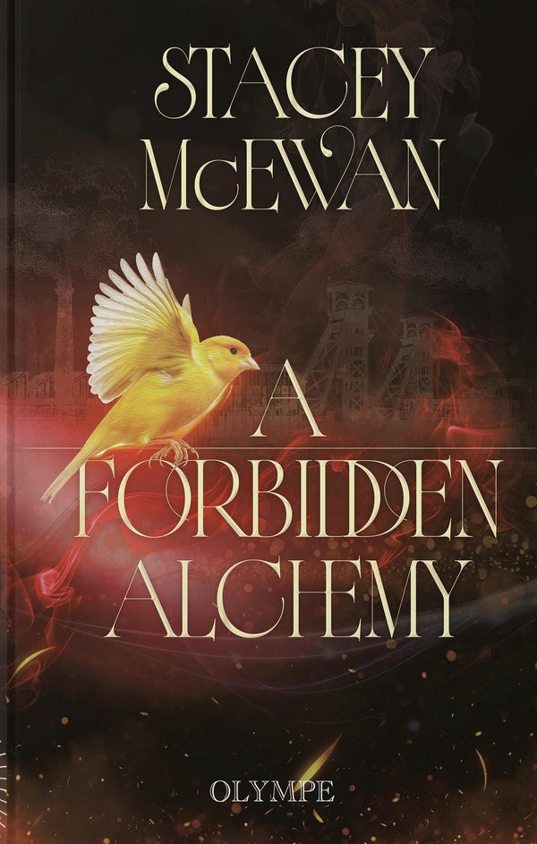 Front cover of A Forbidden Alchemy